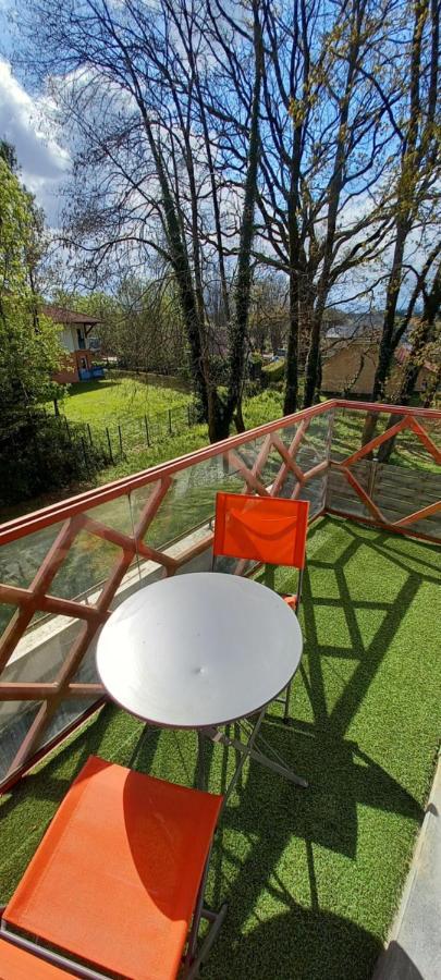Apartmán Le Petit Park-Studio-Terrasse- Piscine-Wifi Fibre Pau Exteriér fotografie
