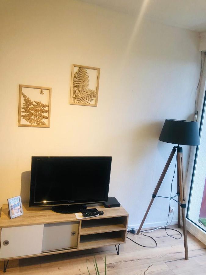 Apartmán Le Petit Park-Studio-Terrasse- Piscine-Wifi Fibre Pau Exteriér fotografie